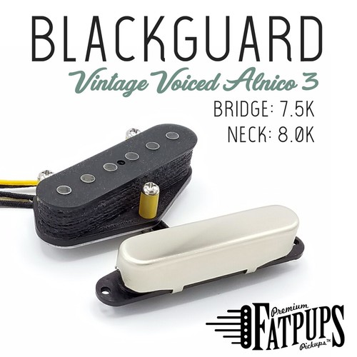 Blackguard tele guitar - guitar, pickups